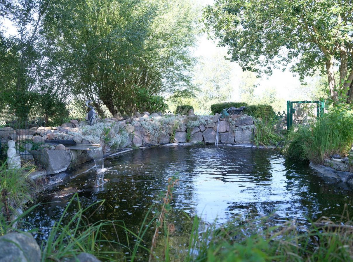 Ferienhaus für 8 Personen mit Kamin&Terrasse Ostseebad Boltenhagen Exterior foto