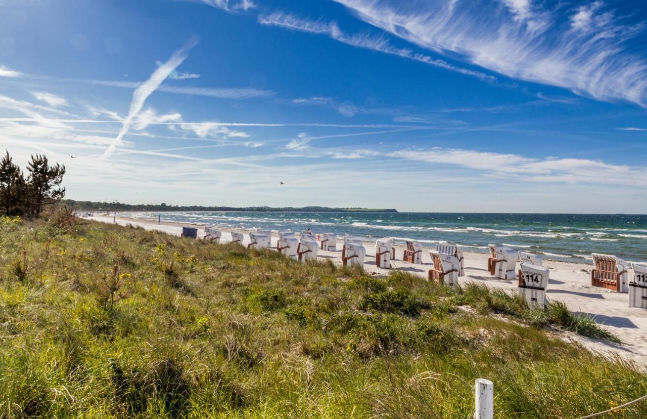 Ferienhaus für 8 Personen mit Kamin&Terrasse Ostseebad Boltenhagen Exterior foto
